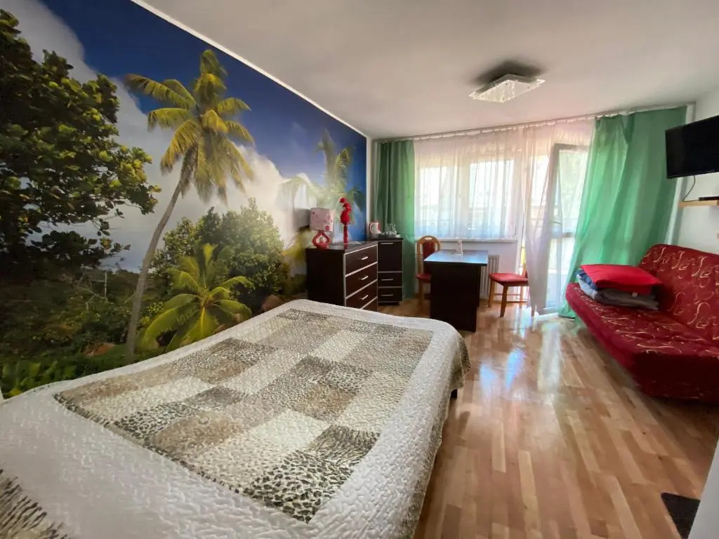Standard Double room with balcony (full double bed)