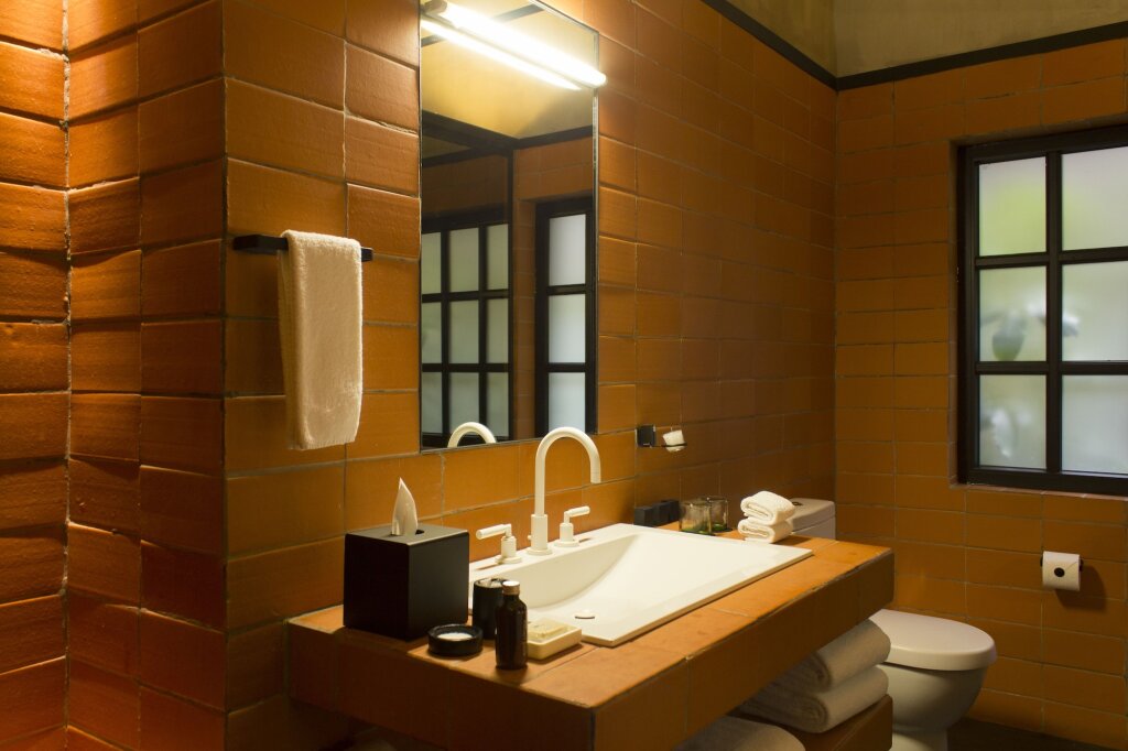 DOWNTOWN MEXICO HOTEL by null