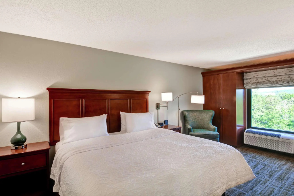 Hampton Inn Birmingham/Mountain Brook - Chambres