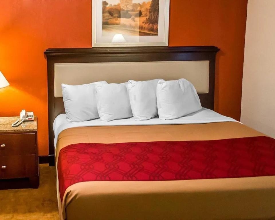 Econo Lodge Inn & Suites - фото 2