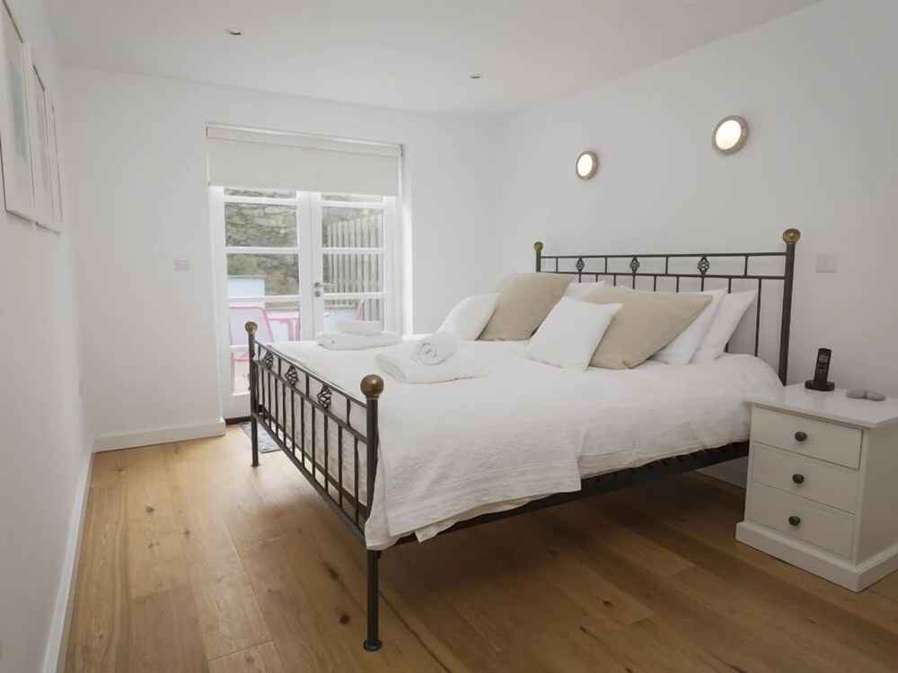 Kittiwake