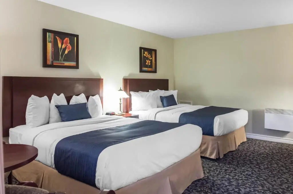 Quality Inn Mont-Laurier - Chambres