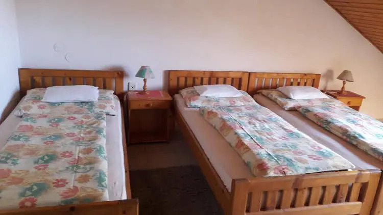 Hot-l Mini - фото 5