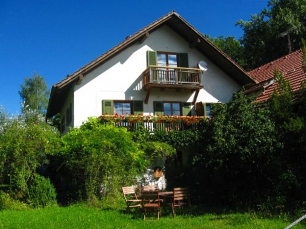 Martina's Place