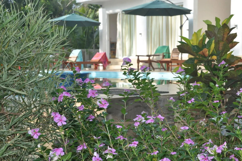 Karma Guesthouse