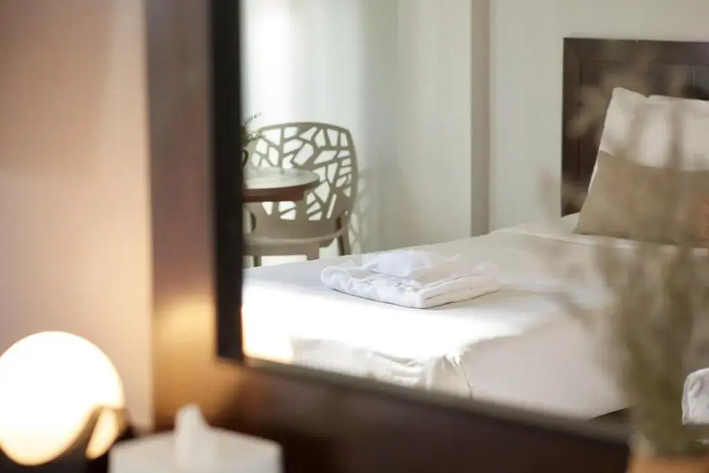 Standard Double room (twin beds)