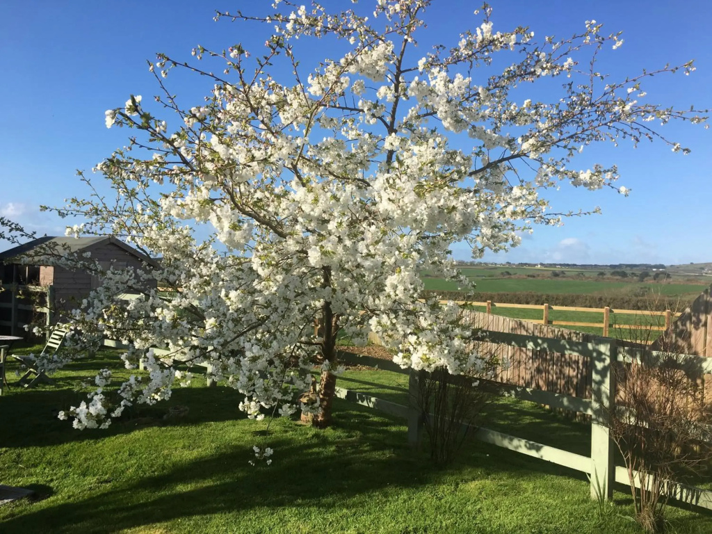 Croft View