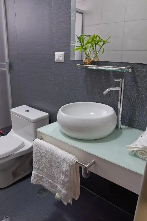 Plaza Sur Hotel & Suites - Chambres