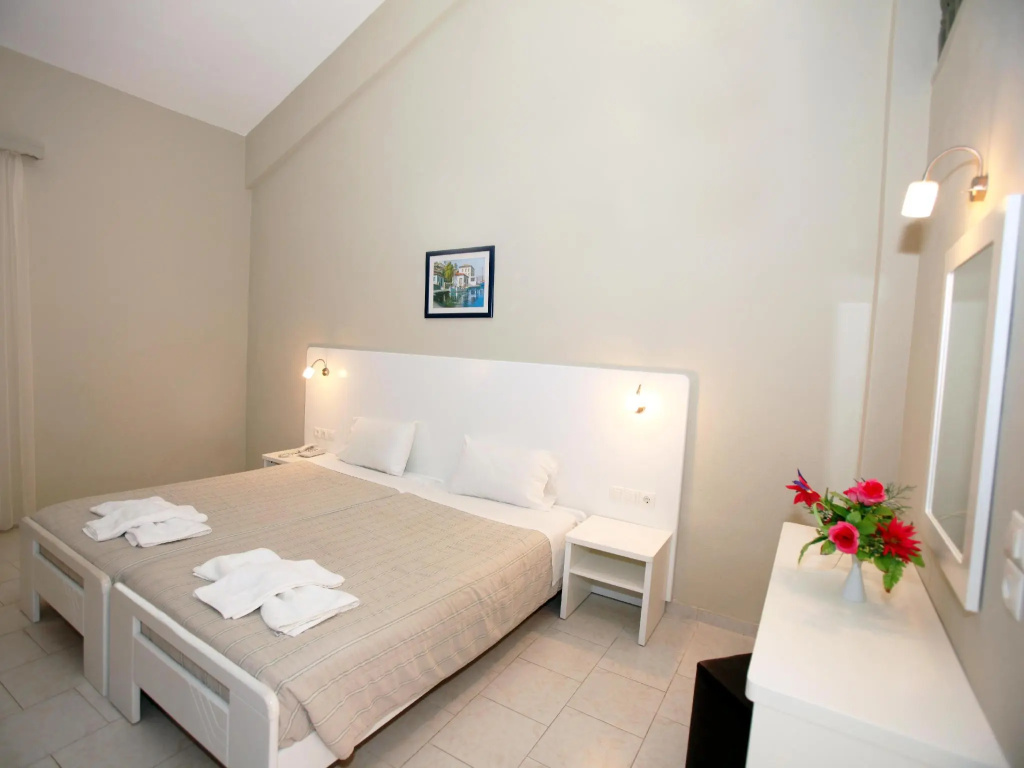 Standard Double room (full double bed)
