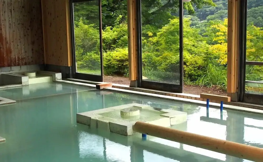 Matsukawaya Nasu Kogen Hotel - Général