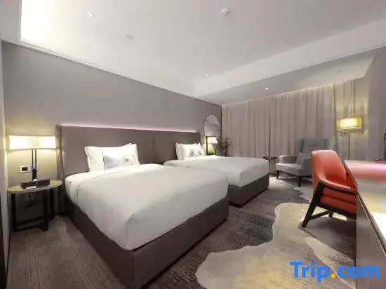 Comfort Double room (twin beds)