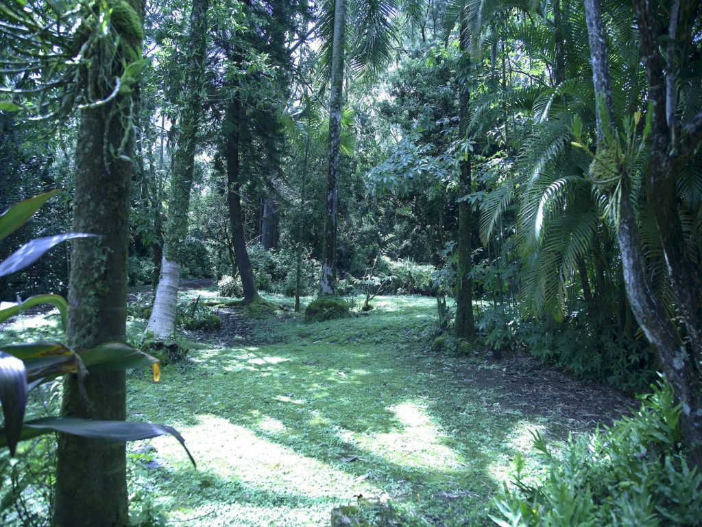 Enchanted Gardens