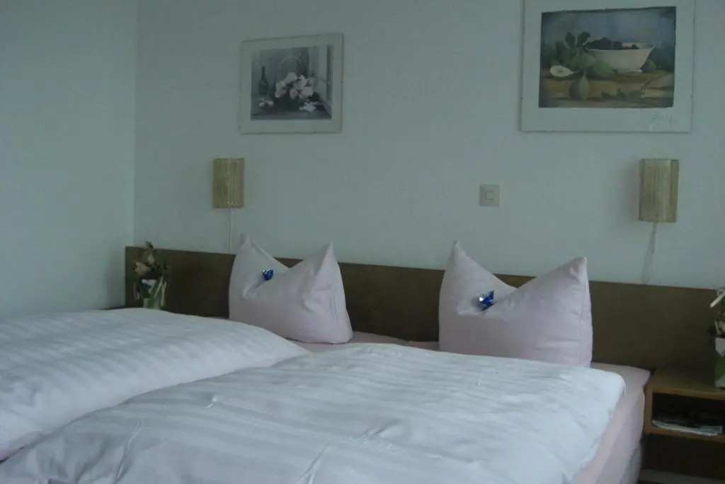 Standard Double room (full double bed)
