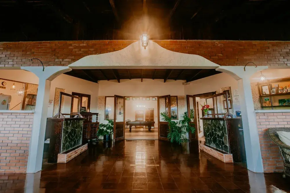 The Golden Frog Inn