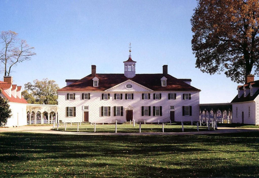 Image 19