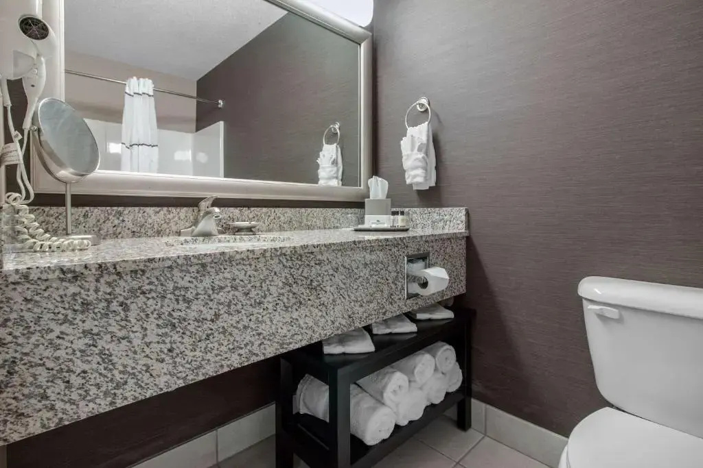 Norfolk Lodge & Suites, an Ascend Collection Hotel - Chambres