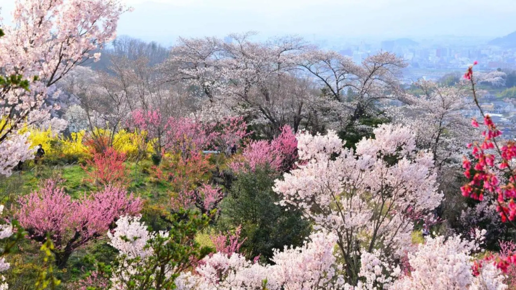 Toyoko Inn Fukushima-Eki Higashi-Guchi No.2 사진 14