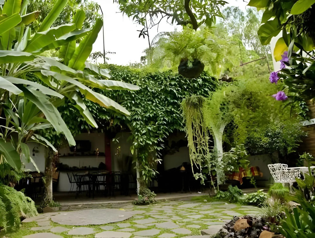 Arbol De Fuego Eco-Hotel