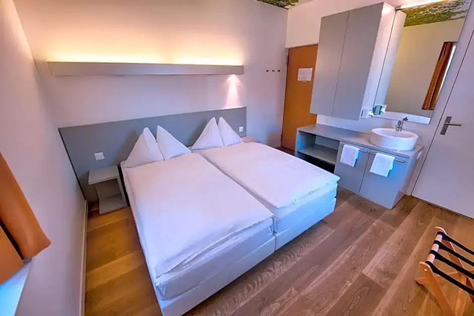 Standard Double room (twin beds)