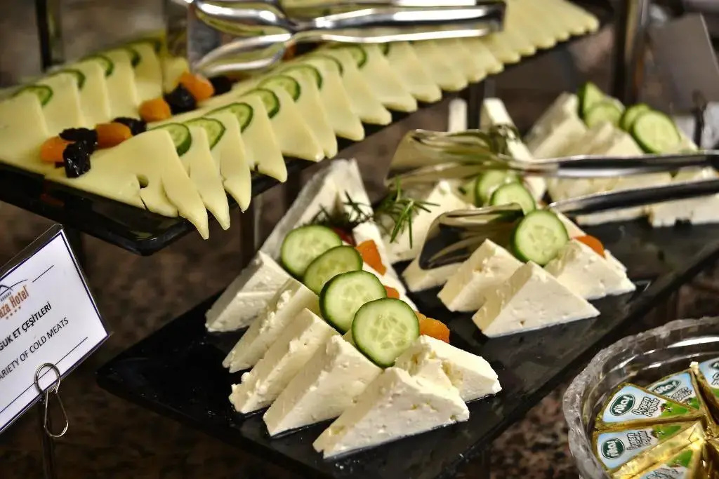 Ankara Plaza Hotel - Général