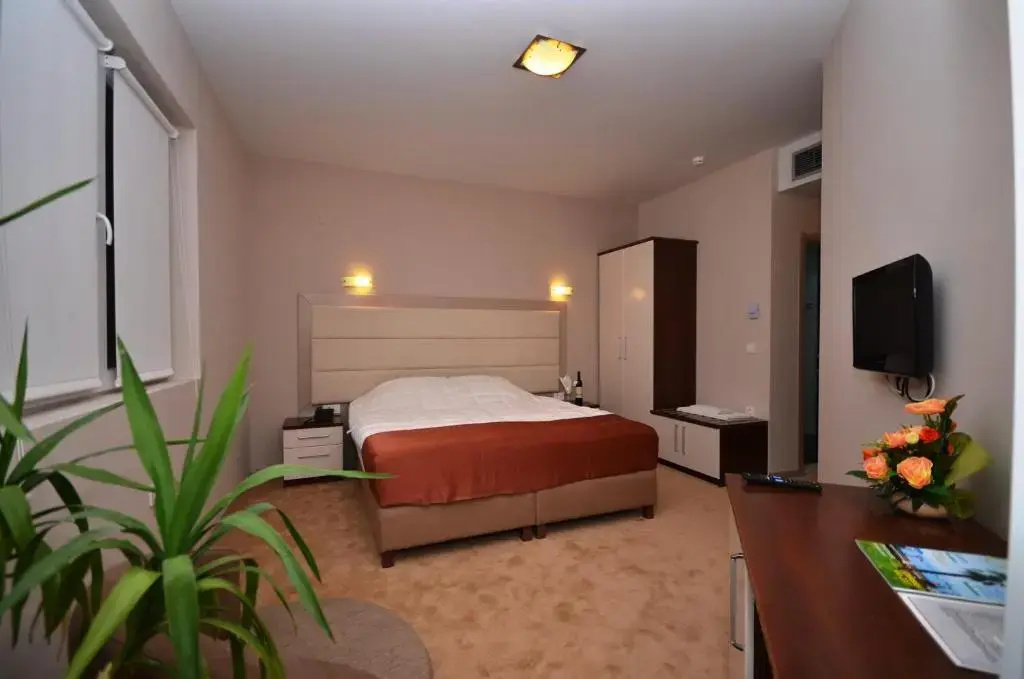 Standard Double room with balcony (full double bed)