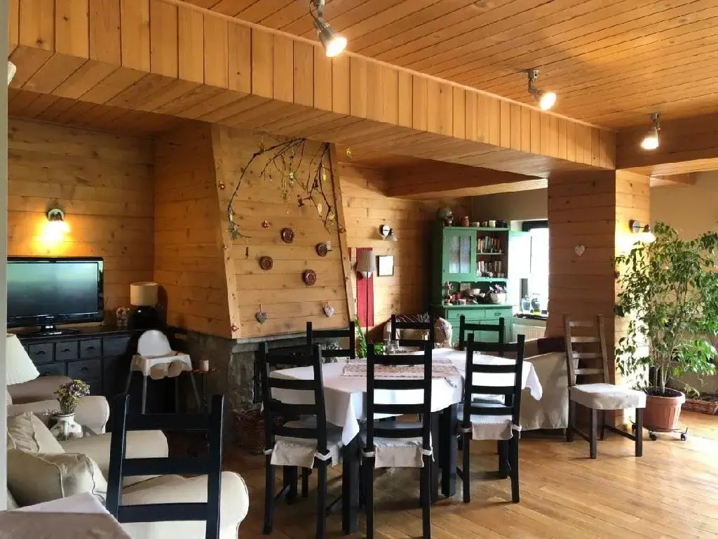 Bucovina Lodge Pension - Général