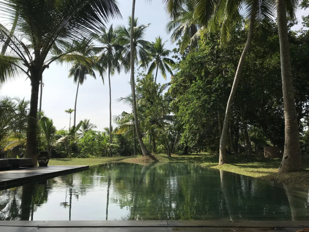 KAJU GREEN eco lodges - 3