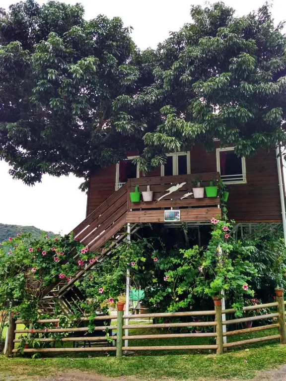 ti kaz perchée - фото 9