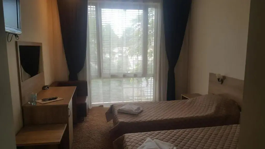 Standard Double room (twin beds)