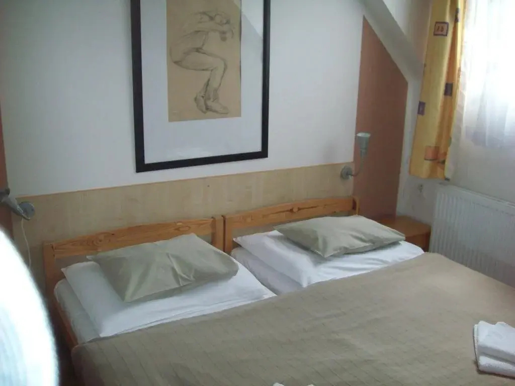hotel U lip Trojanovice - Général