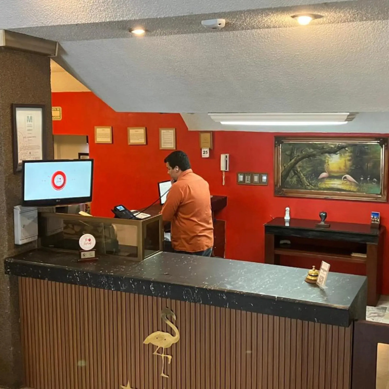 Hotel Flamingo Kristal - Général