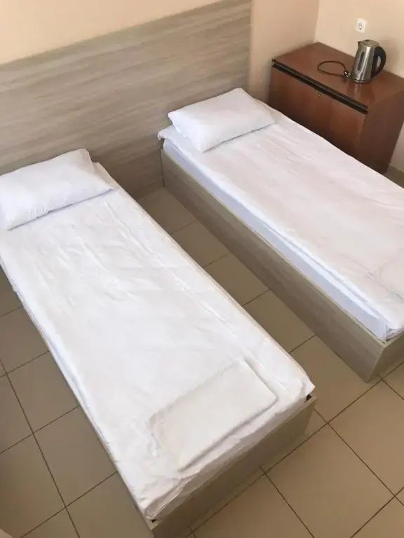 Economy Double room (twin beds)