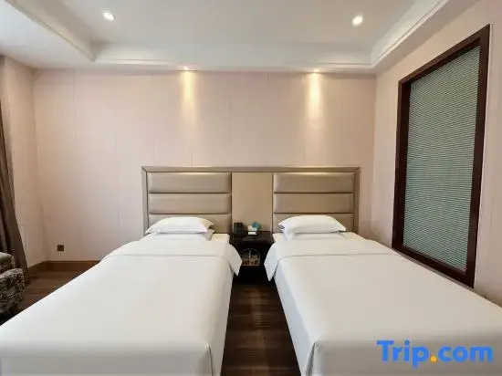 Business Double room (twin beds)