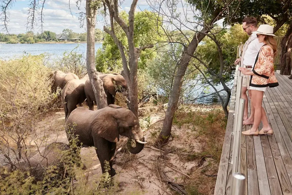 Victoria Falls River Lodge - Chambres
