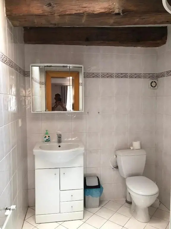Hotel U Zlateho Andela - Chambres
