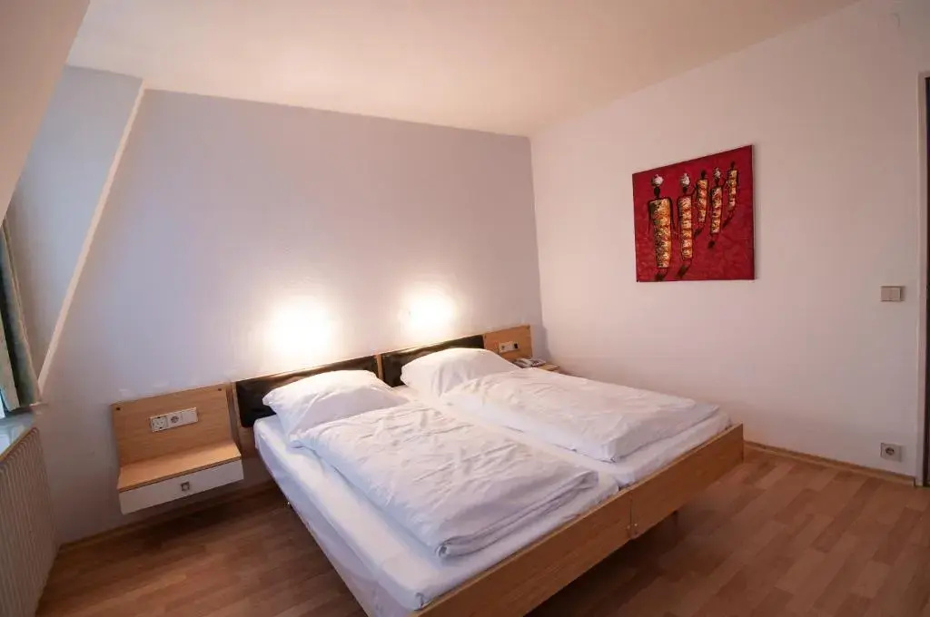 Standard Double room (full double bed)