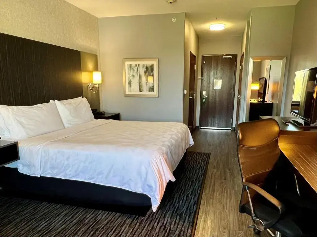 Holiday Inn Carlsbad by IHG - Chambres