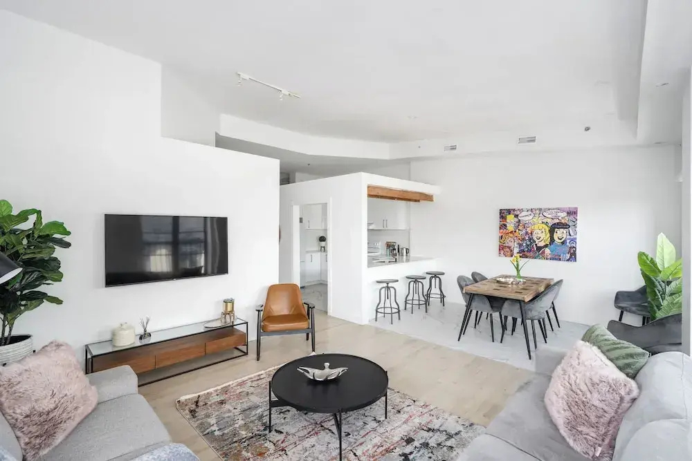 Luxury Apartment