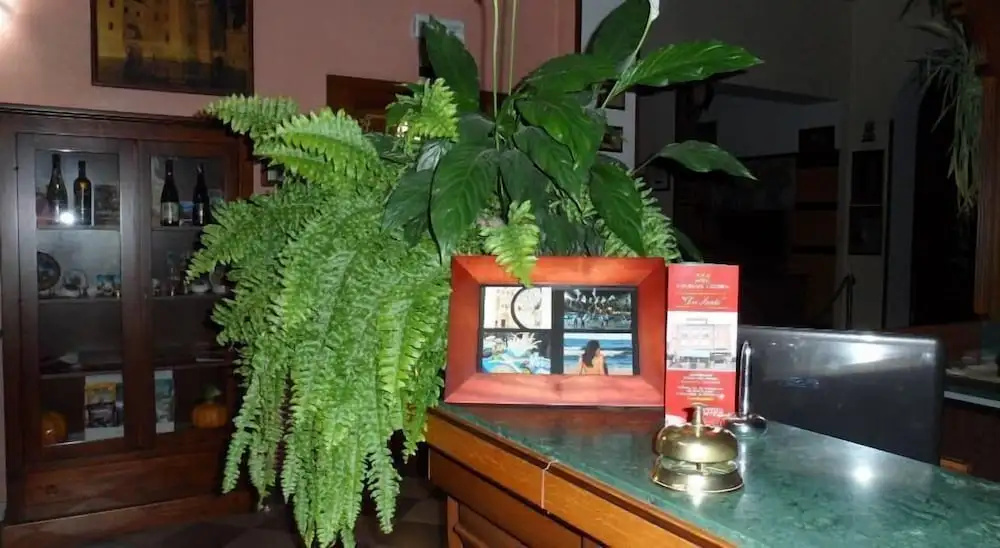 Hotel photo 21