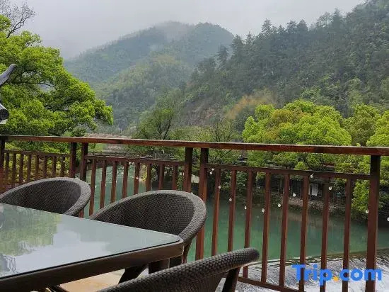 Balcony & Terrace