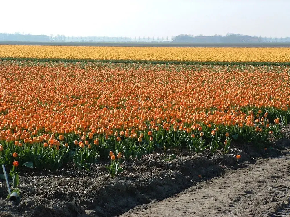 Van der Valk Hotel Emmeloord - Général