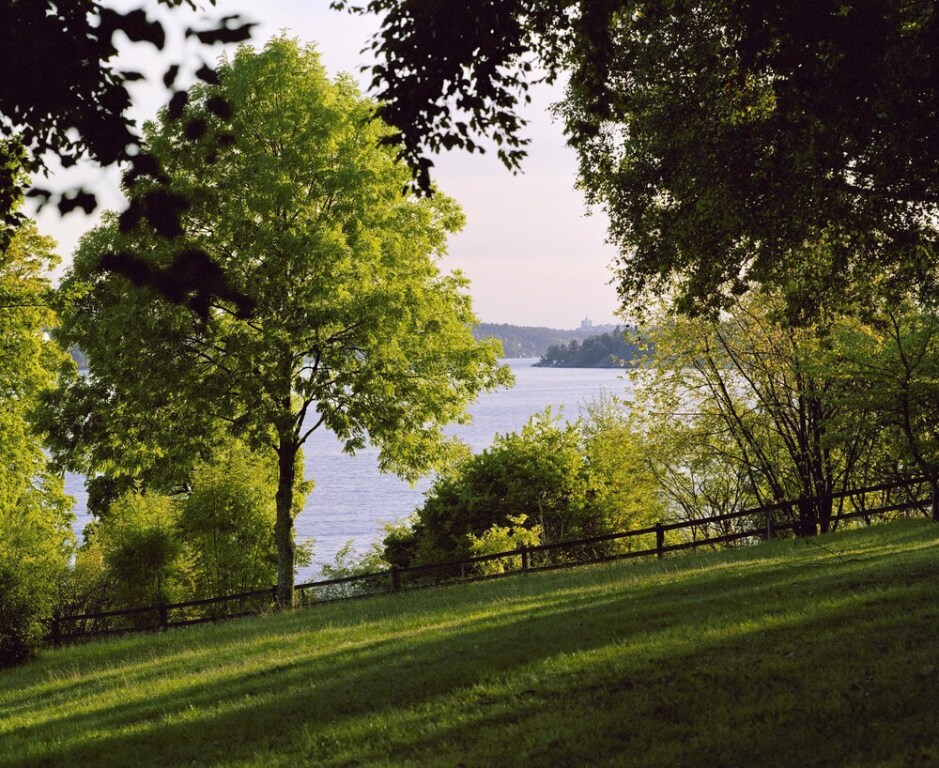 Image 18