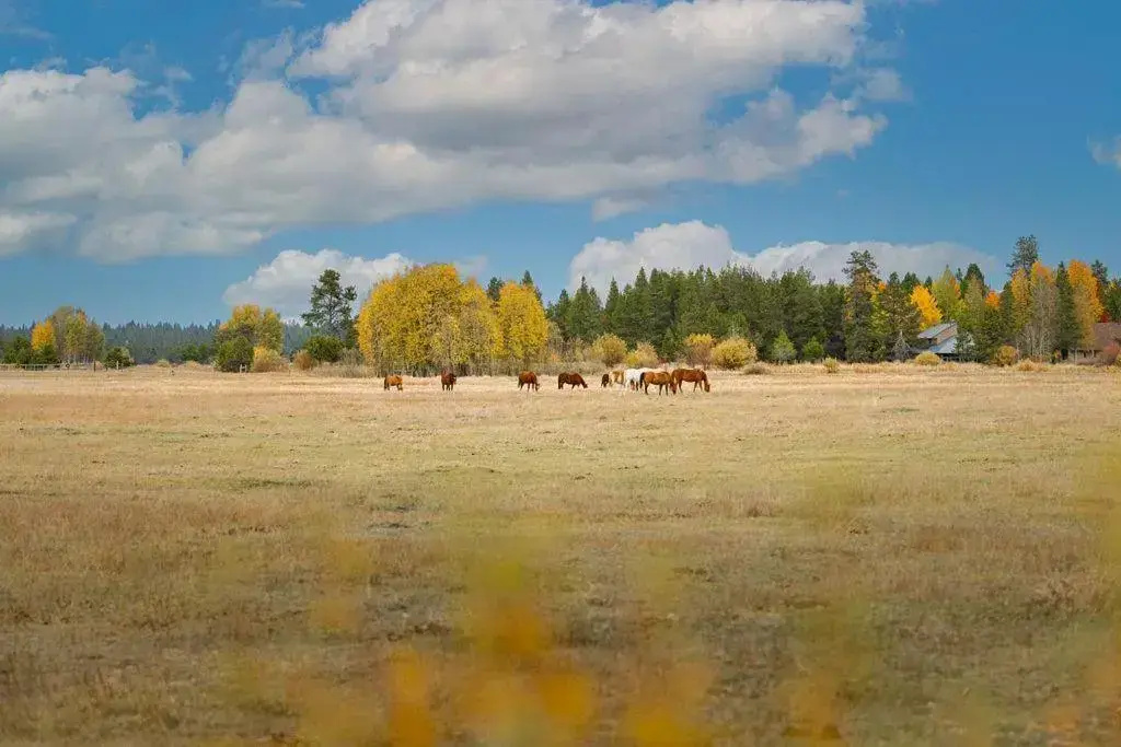 Wallowa 2