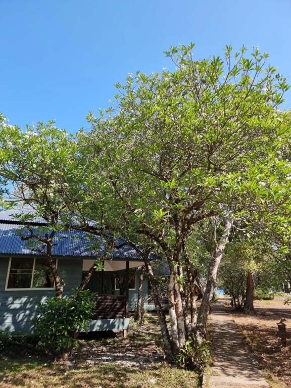 Payam Cottage Resort - фото 15