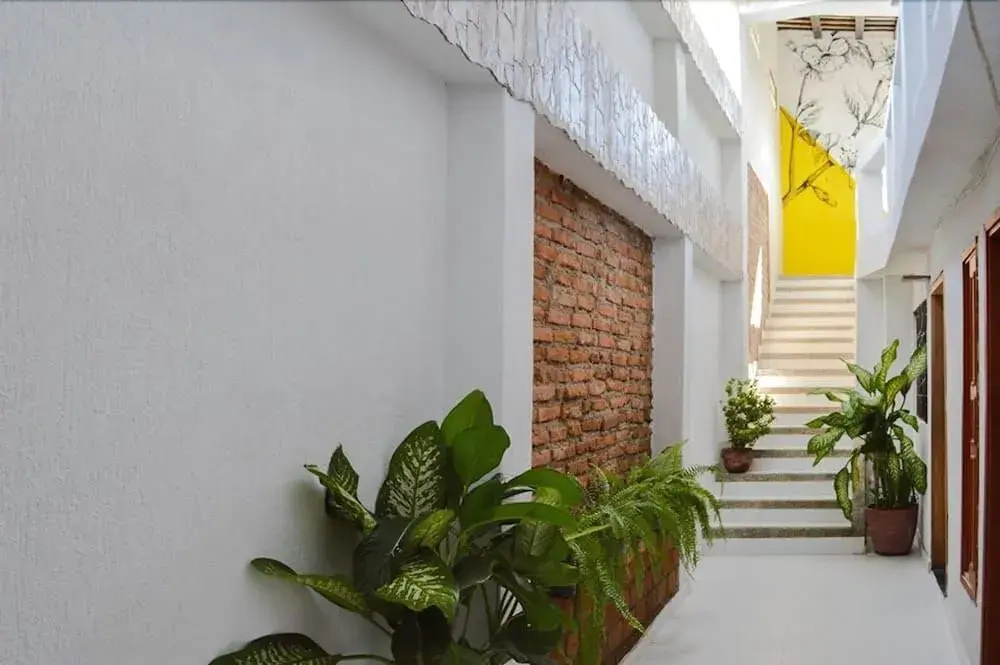 Bacano Lofts