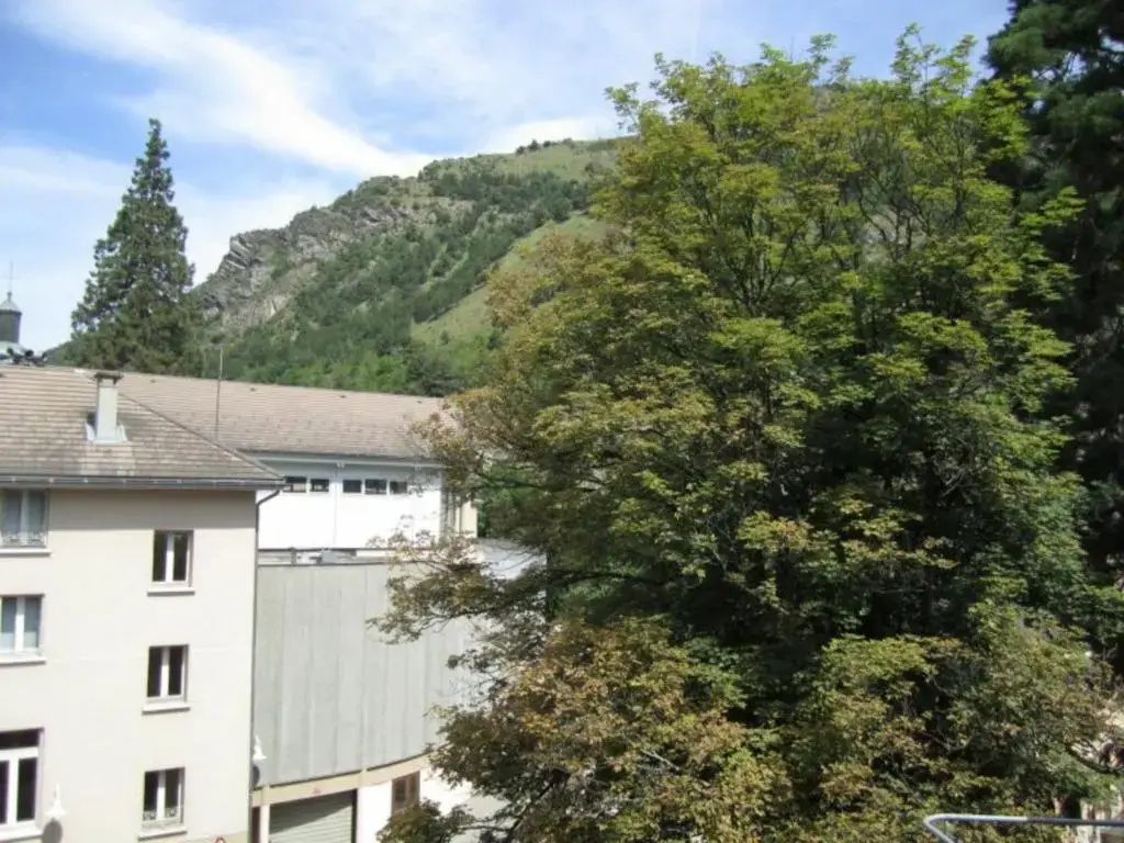 Afficher la photo 7 — Appartement Brides-les-Bains, 1 pièce, 4 personnes - FR-1-512-113