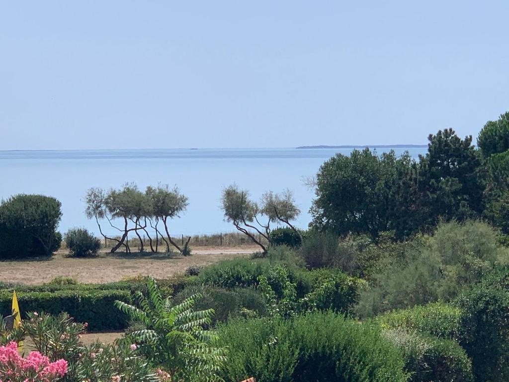 Sea Océane