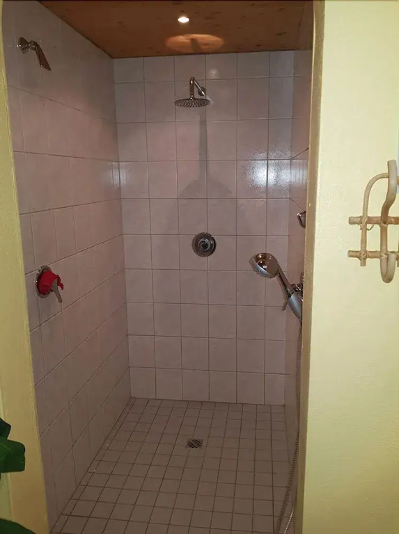 Ferienhotel Lindenhof - Général