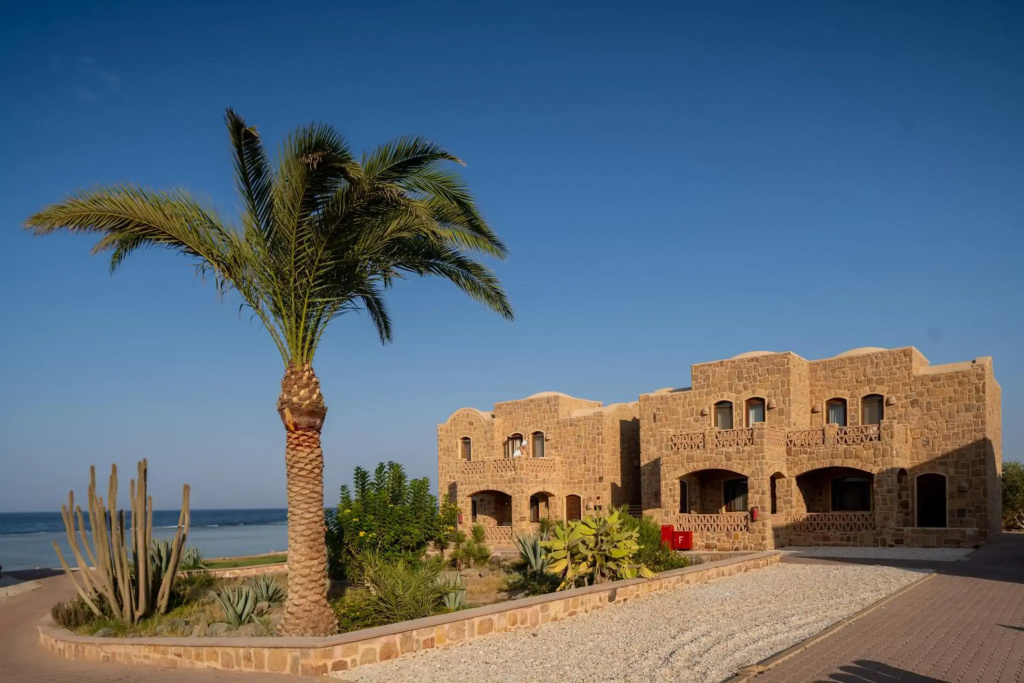 Mövenpick Resort El Quseir - фото 24