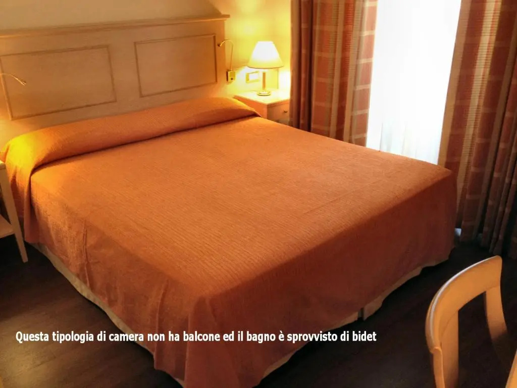 Standard Double room (full double bed)